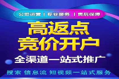 SEM托管公司案例分析：数据驱动决策